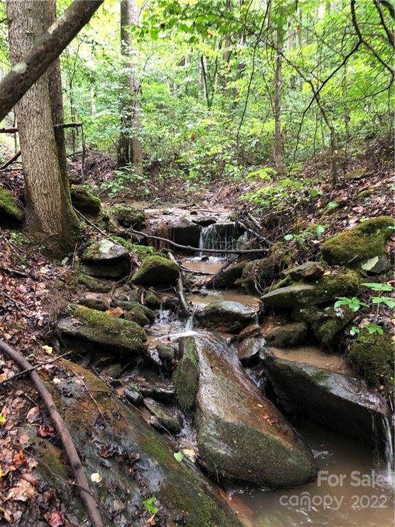 TBD Britten Cove Road - Photo 1