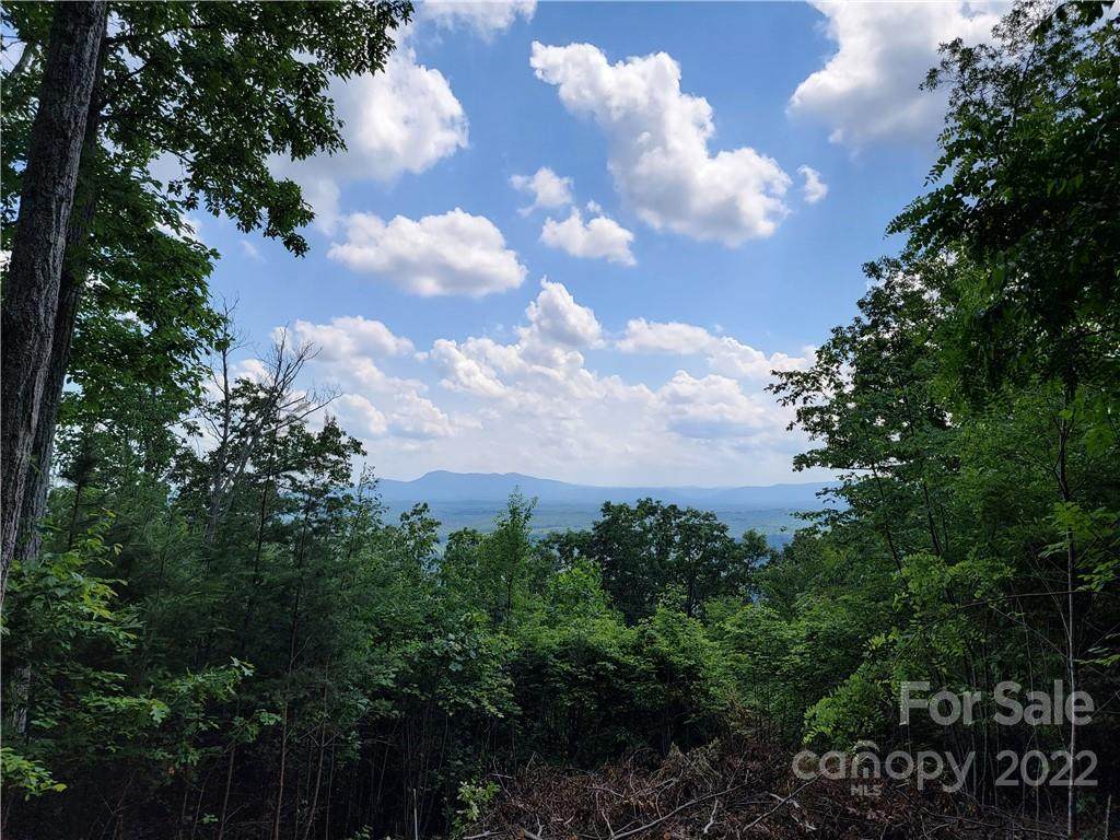 0 Bills Mountain Trail - Photo 1