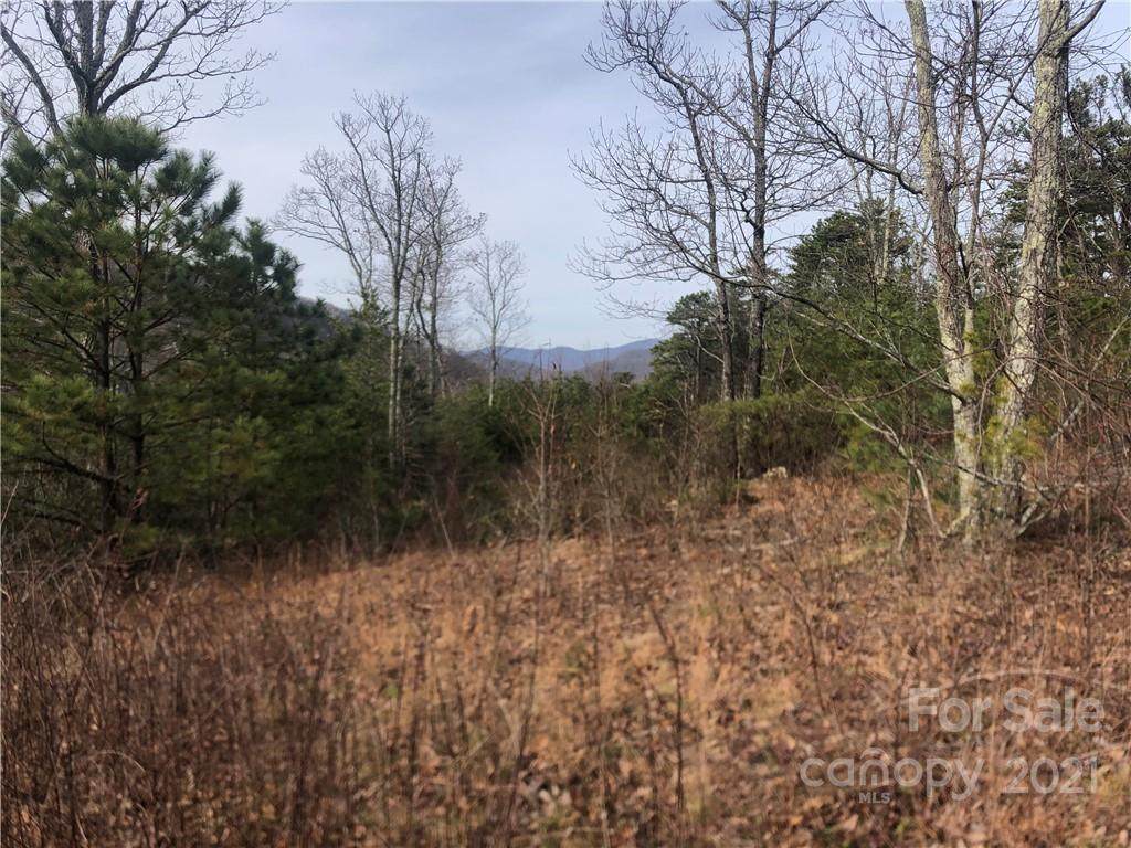 LOT 57 Lure View Lane - Photo 1