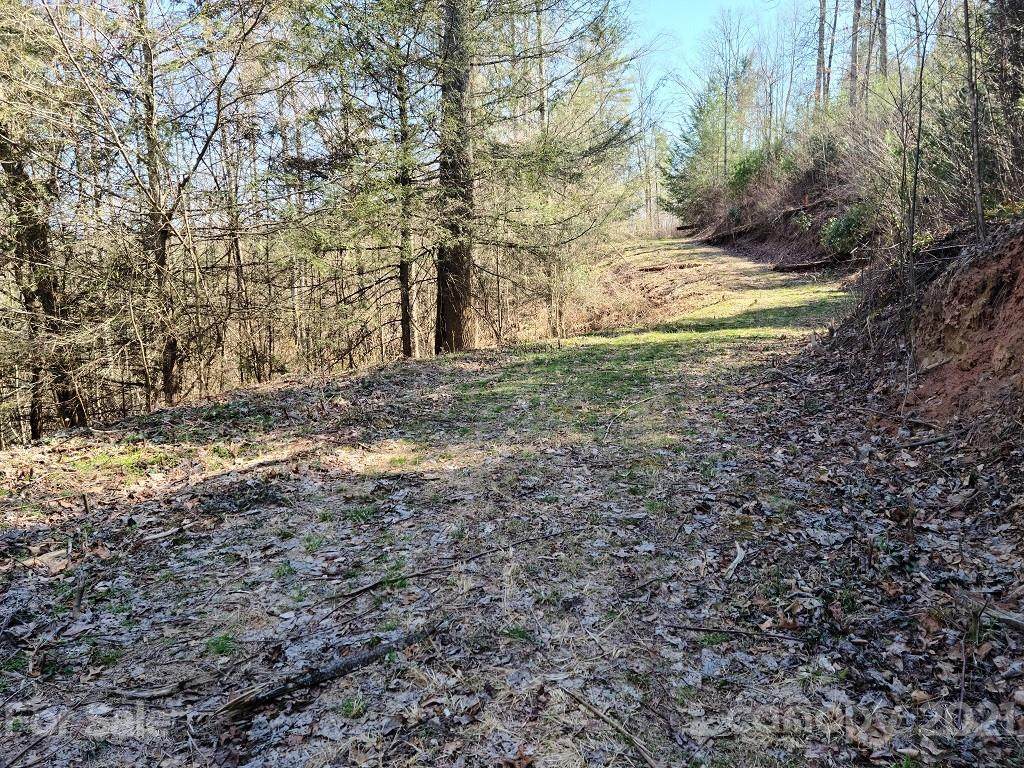 000 Harleys Cove Road - Photo 1