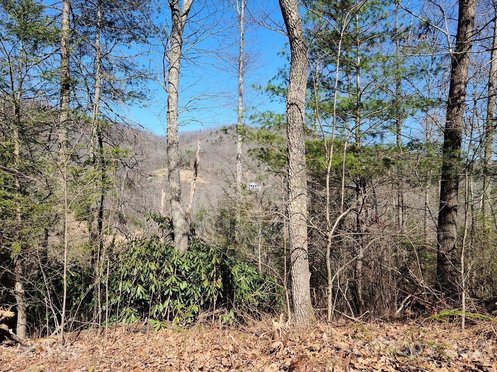 000 Harleys Cove Road - Photo 1