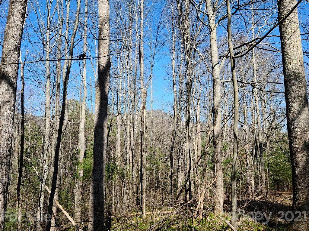 000 Harleys Cove Road - Photo 1