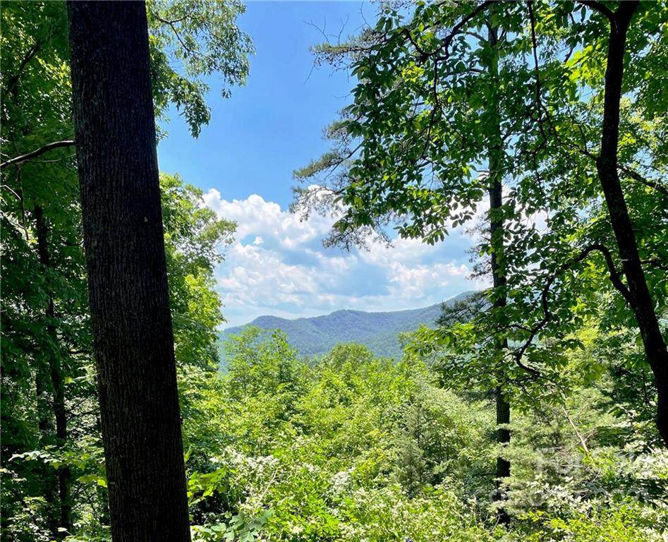 TR 5 Elk Mountain Lane - Photo 1