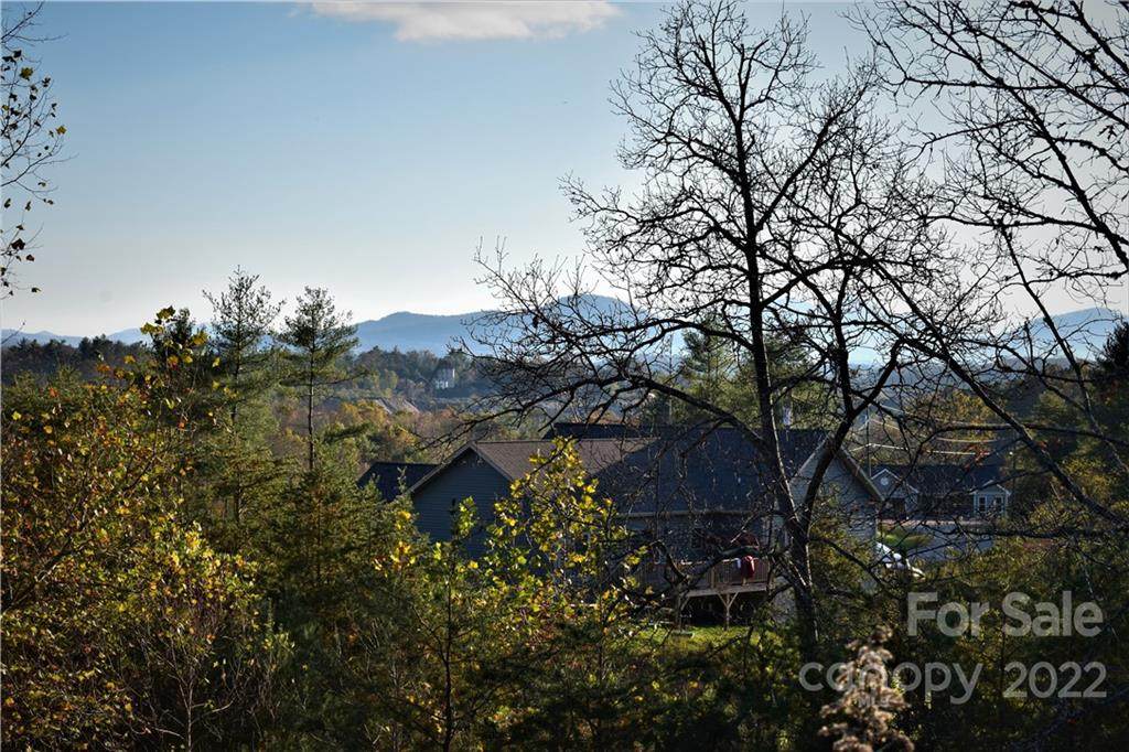 Lot 11 Big Rocky Top Drive - Photo 1
