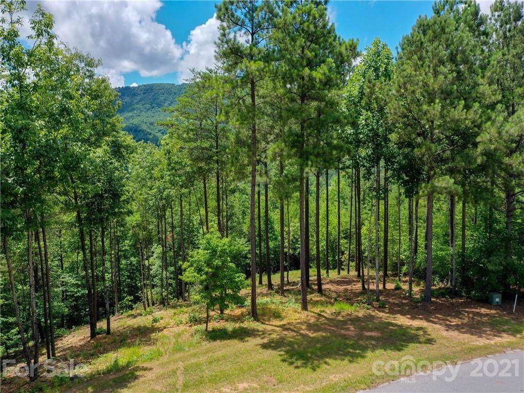 LOT 31 Deep Gap Farm Road - Photo 1