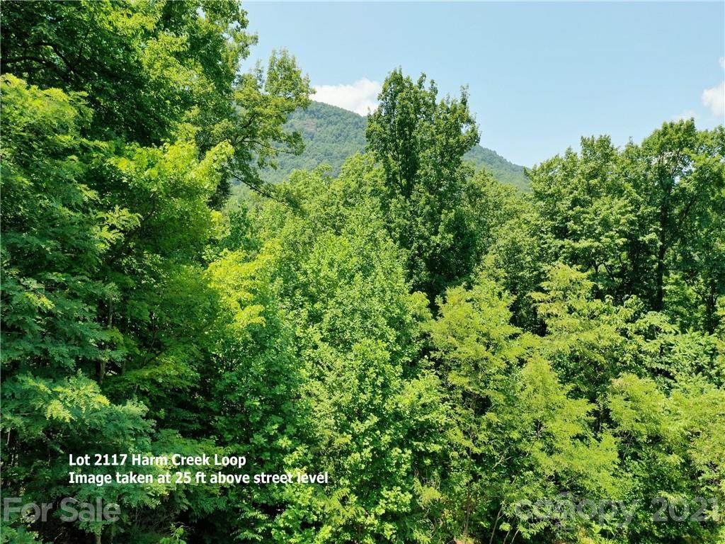 LOT 2117 Harm Creek Loop - Photo 1