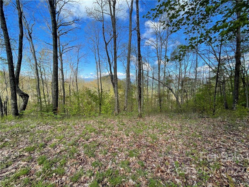 758 Fern Gap Road - Photo 1