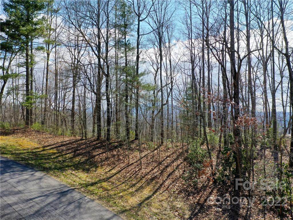 168 Rambling Trail - Photo 1