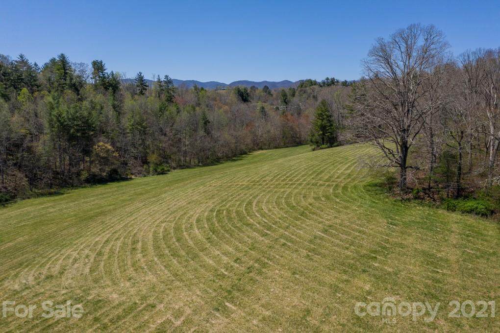 00 Turkey Creek Road - Photo 1