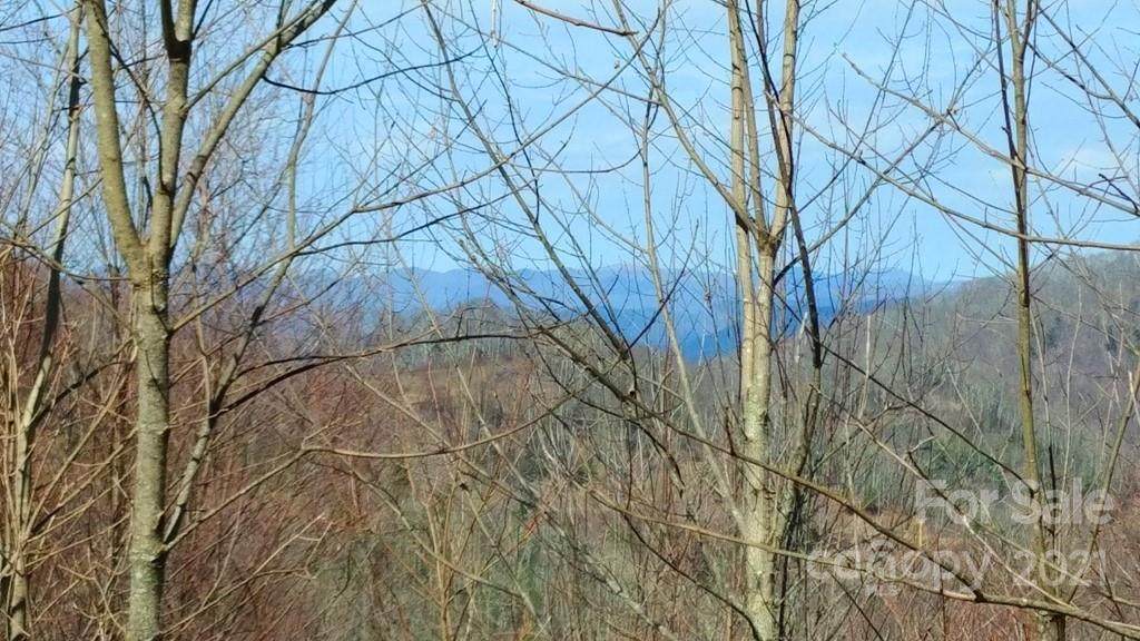 382 Adcock Mountain Road - Photo 1