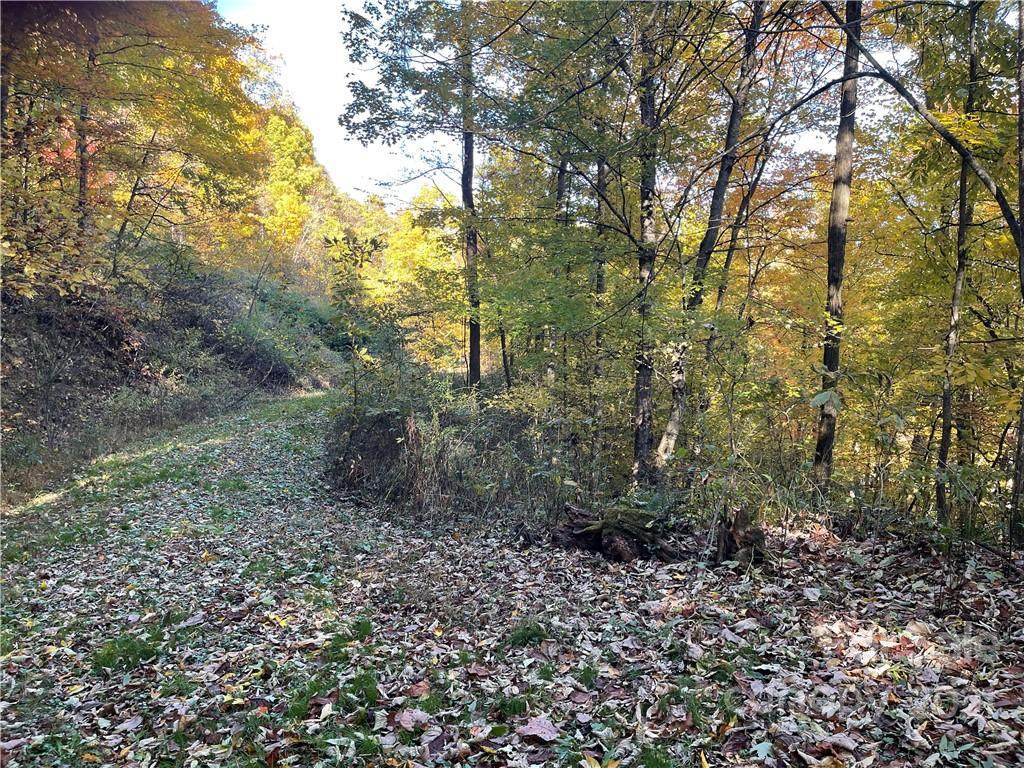 Lot 3 Brigham Drive - Photo 1