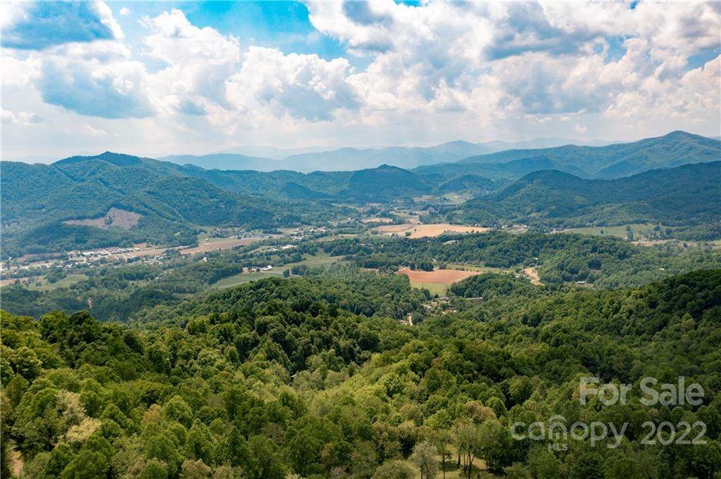 384 Live Oak Loop - Photo 1