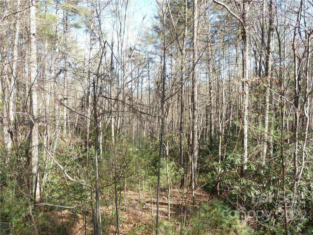 30 Abby Falls Drive - Photo 1