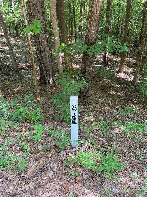 456 Countrywood Place - Photo 1