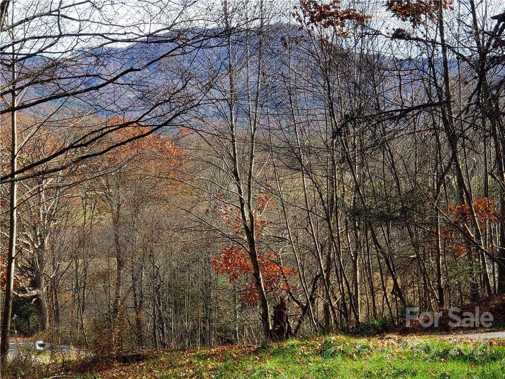 Lot 29 Falling Glen Drive - Photo 1