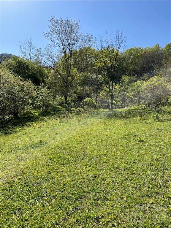 00 Mease Farm Road - Photo 1