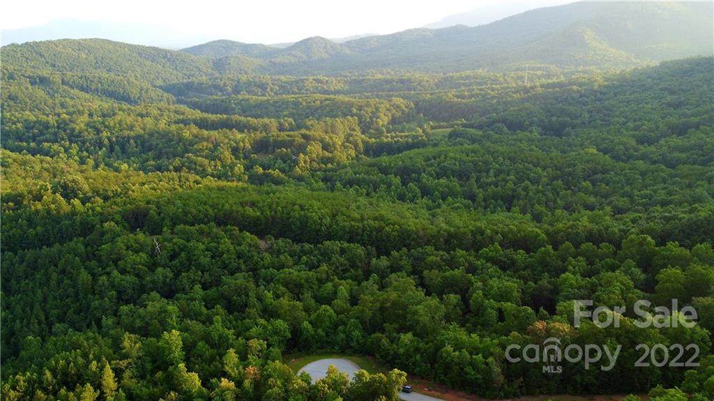 Lot 59 Bear Cliff Way - Photo 1