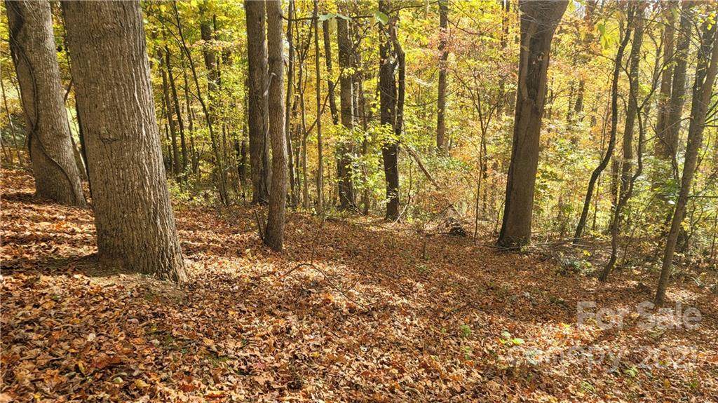 Lot 15 Mountain Watch Drive - Photo 1