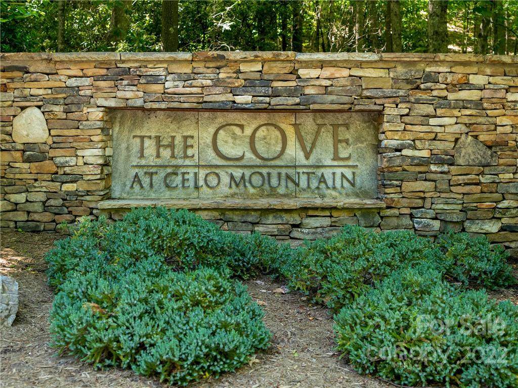 Lot 9 Celo Heights Way - Photo 1