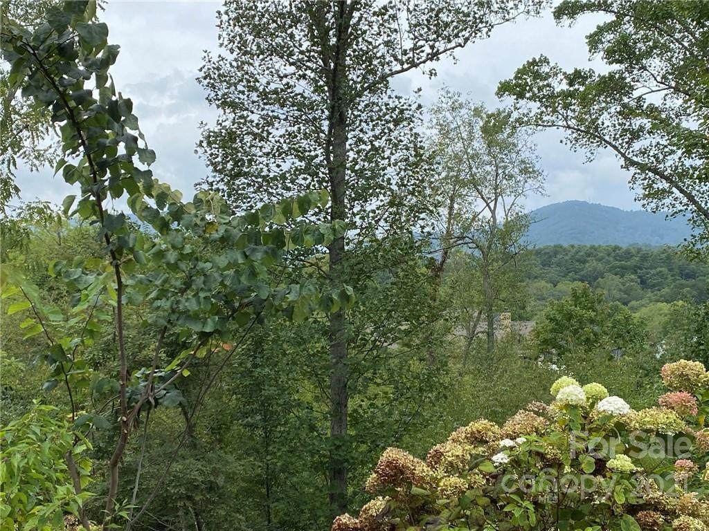 7 Magnolia View Trail - Photo 1