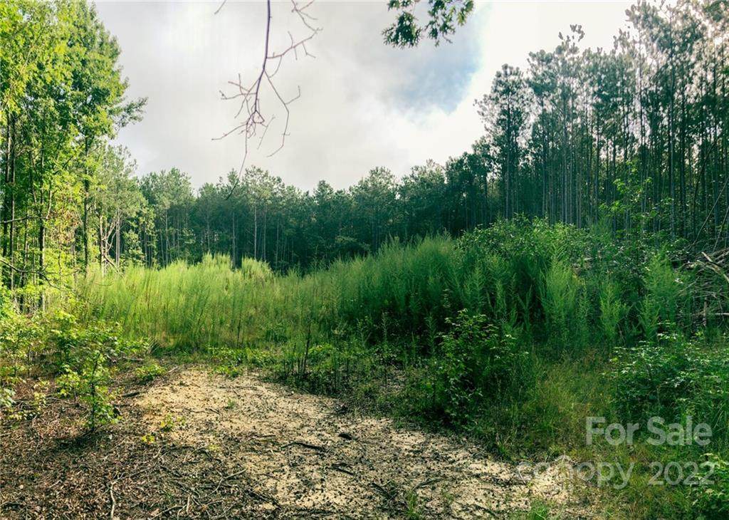 TBD Taxahaw Road - Photo 1