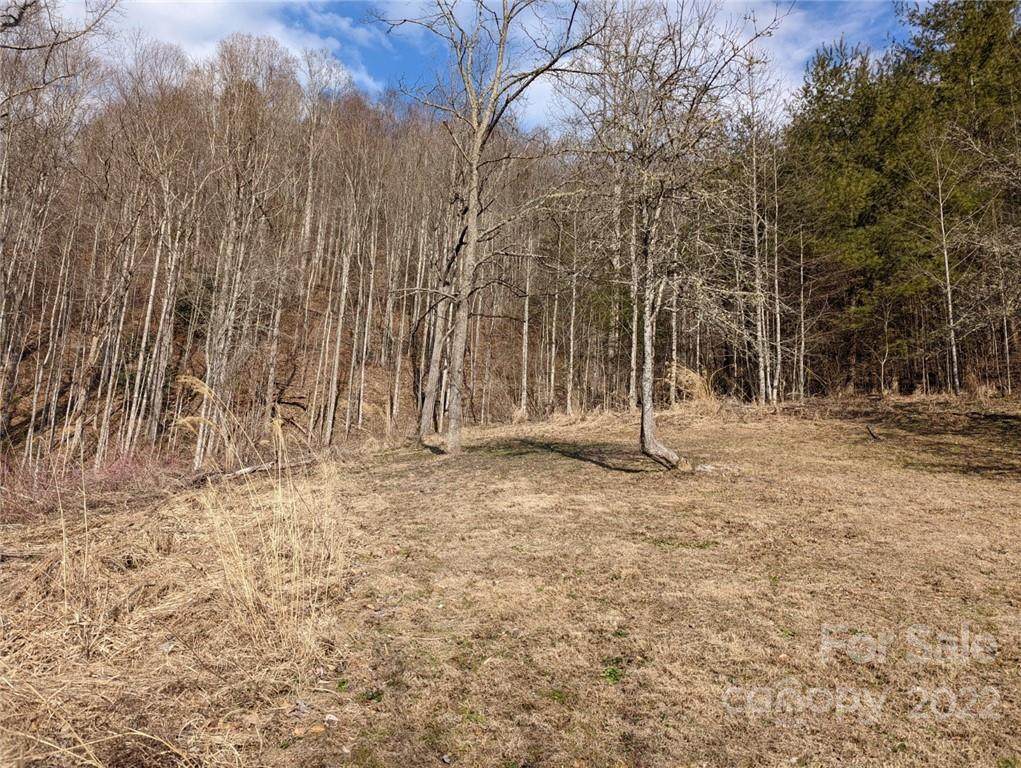TBD Jarrett Cove Road - Photo 1
