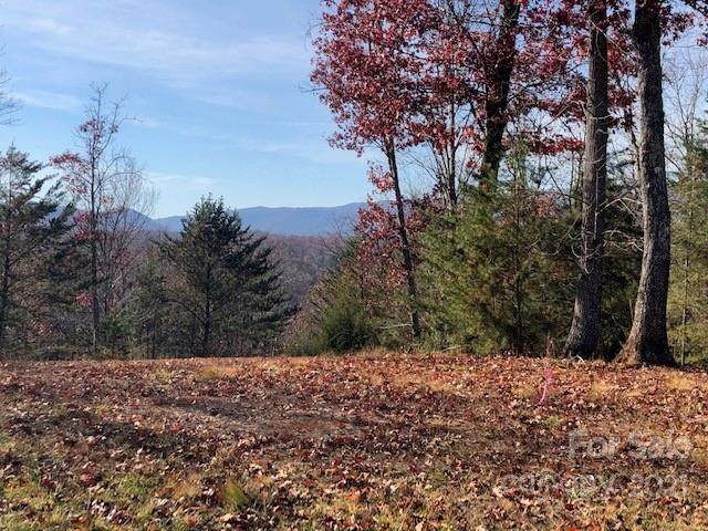 Lot 50 Mountain Parkway - Photo 1