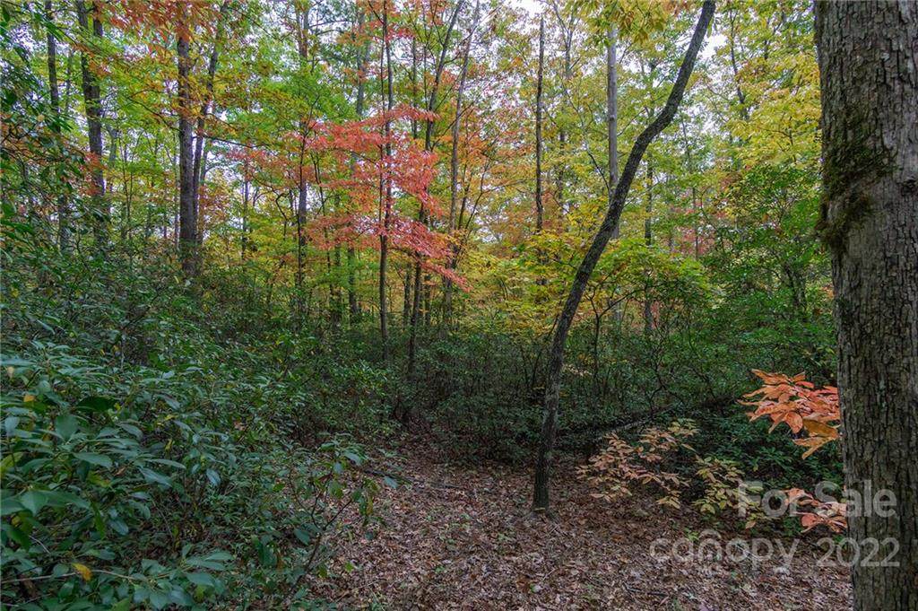 99999 Kalmia Road - Photo 1