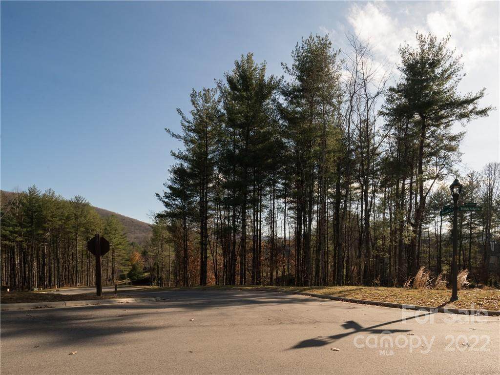 103 Blue Quill Court - Photo 1
