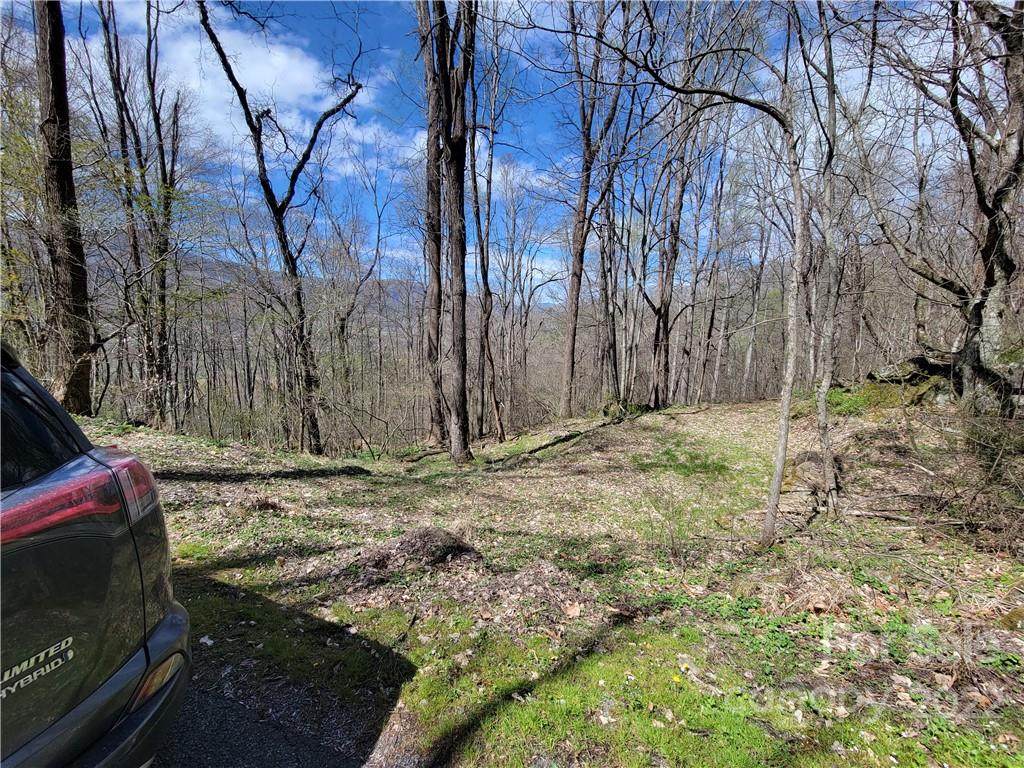 163 Mount Valley Road - Photo 1