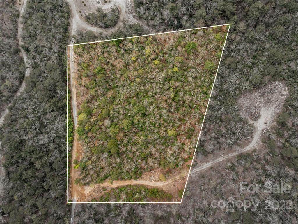 0004 Bulling Creek Road - Photo 1