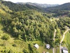 5056 Paint Fork Road - Photo 1