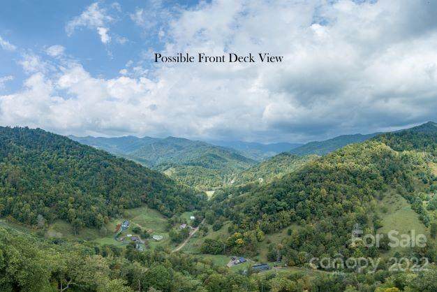 000 Silvers Gap Road - Photo 1