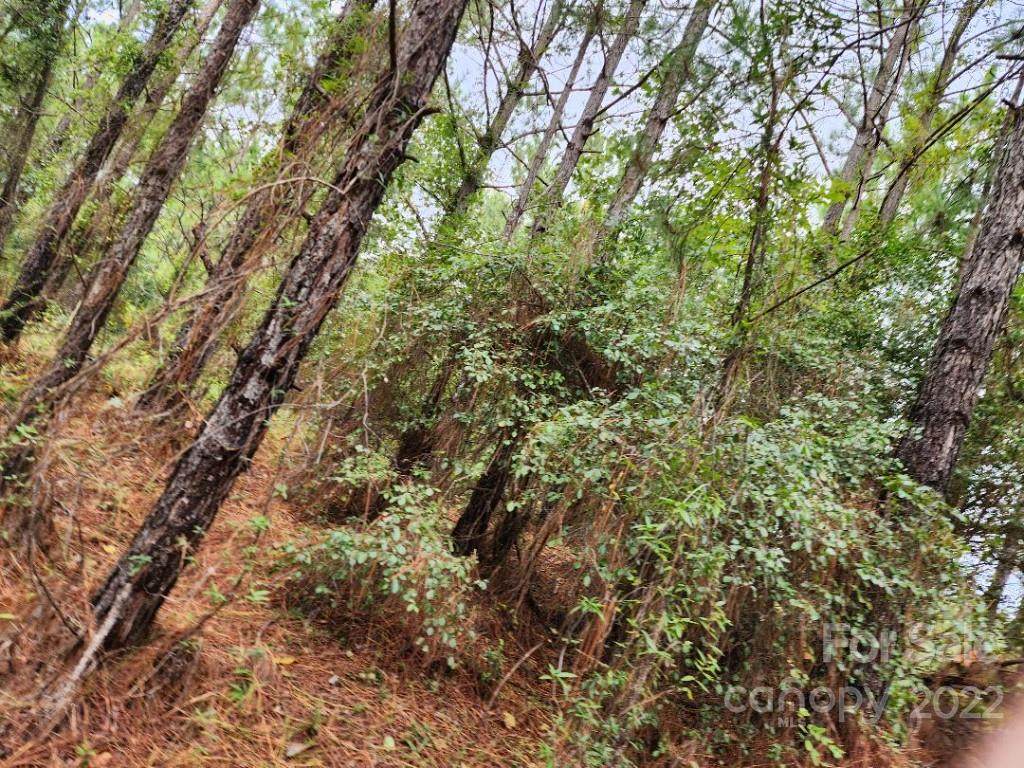 102 Stokes Road - Photo 1