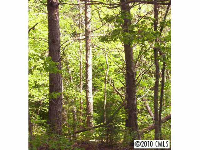 .62 Wood Bridge Road - Photo 1