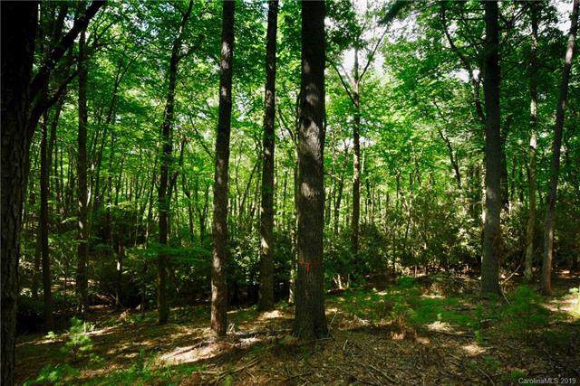 59 Misty Valley Parkway - Photo 1