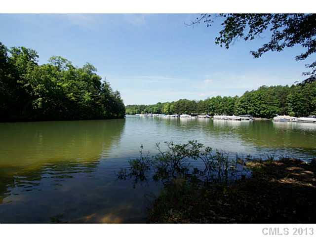 101 Wellfleet Lane, Mooresville, NC 28117 (#2077852) :: High Performance Real Estate Advisors