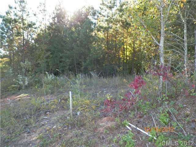 0 Harper Hearne Road - Photo 1