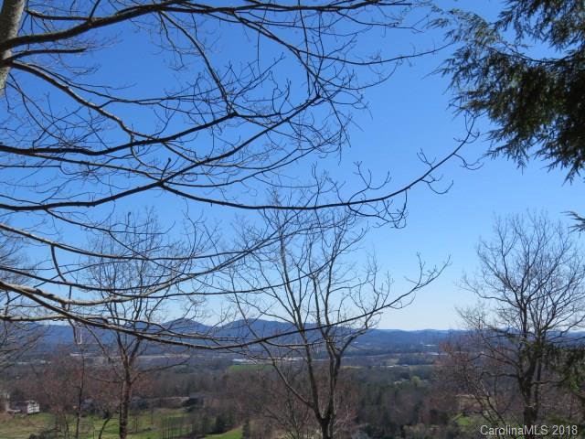 15 Wild Dogwood Trail - Photo 1
