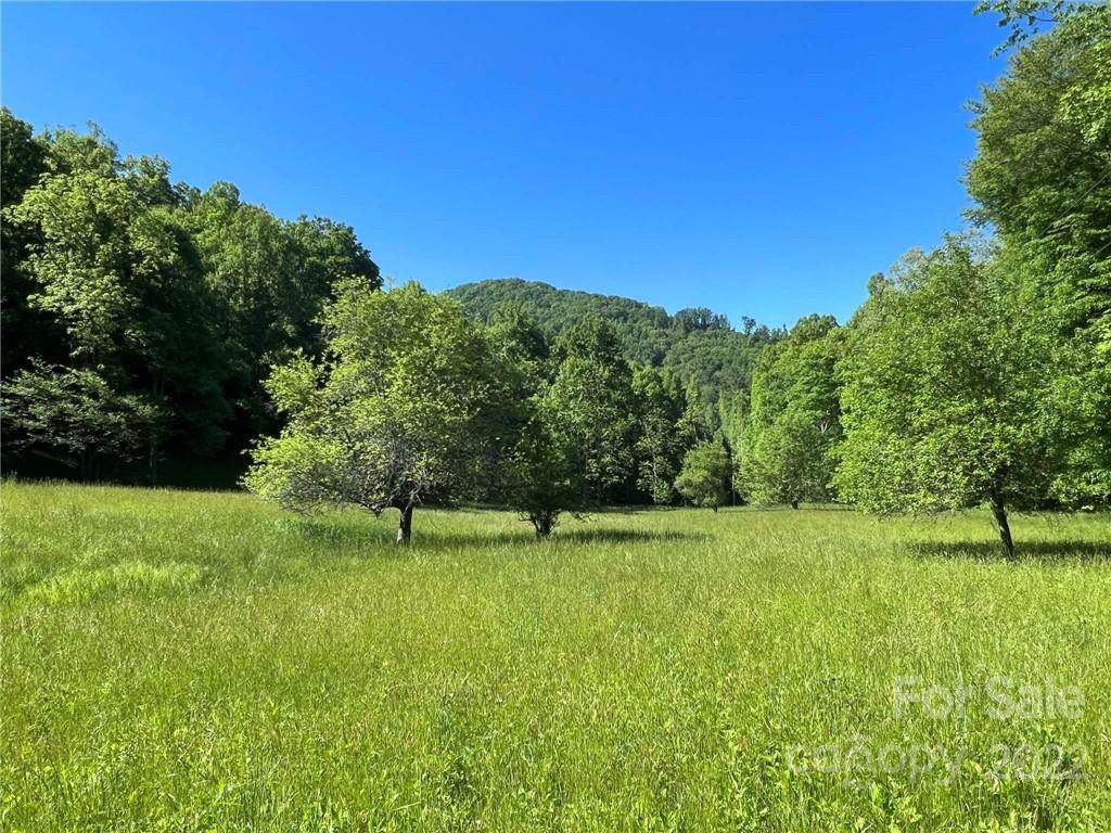 000 Indian Camp Creek Road - Photo 1