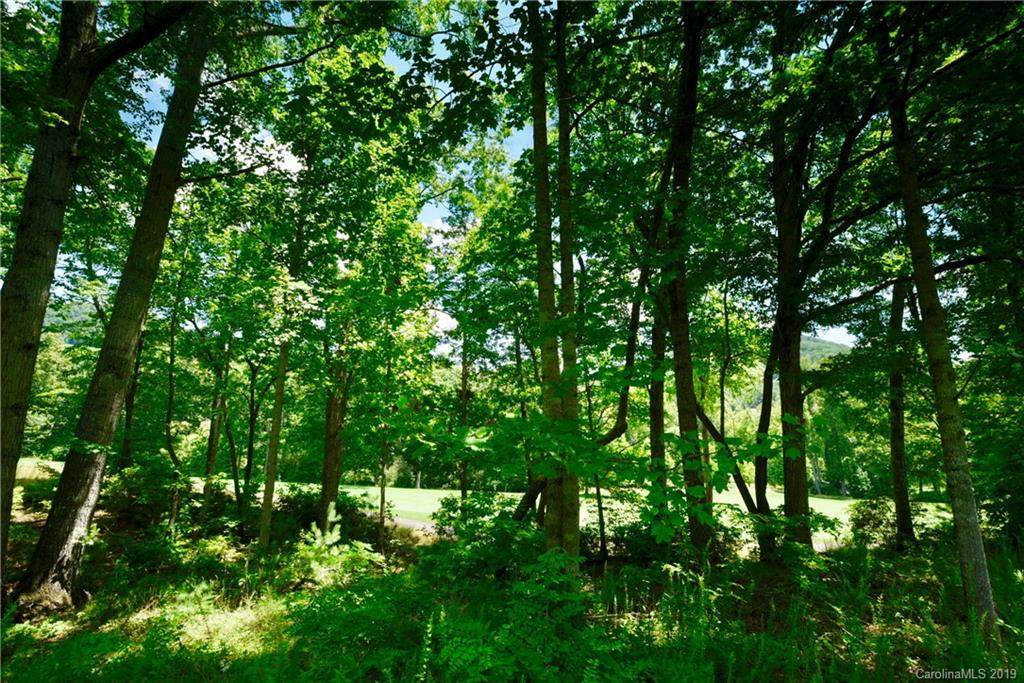 351 Walnut Valley Parkway - Photo 1