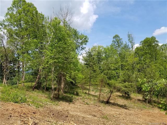 1584 Bull Creek Road - Photo 1