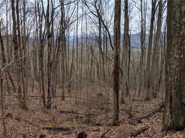 14+ Acres Elk Mountain Scenic Highway - Photo 1