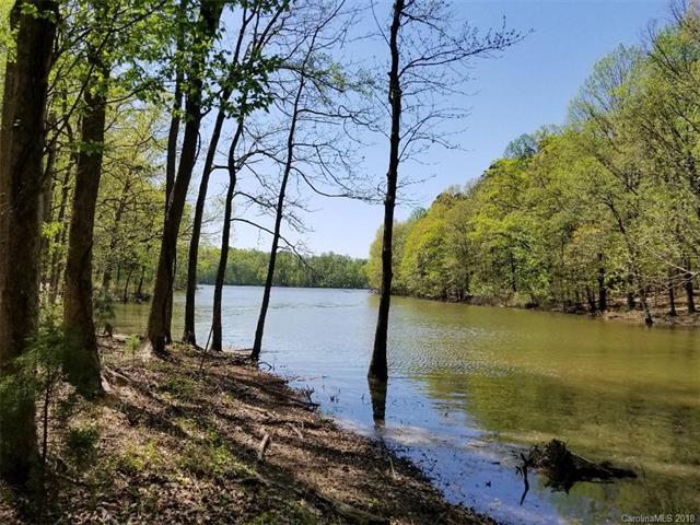 1115 Sunset Pointe Drive - Photo 1