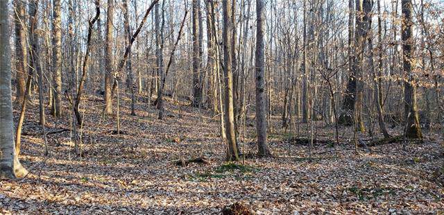 00 Timber Creek Trail - Photo 1
