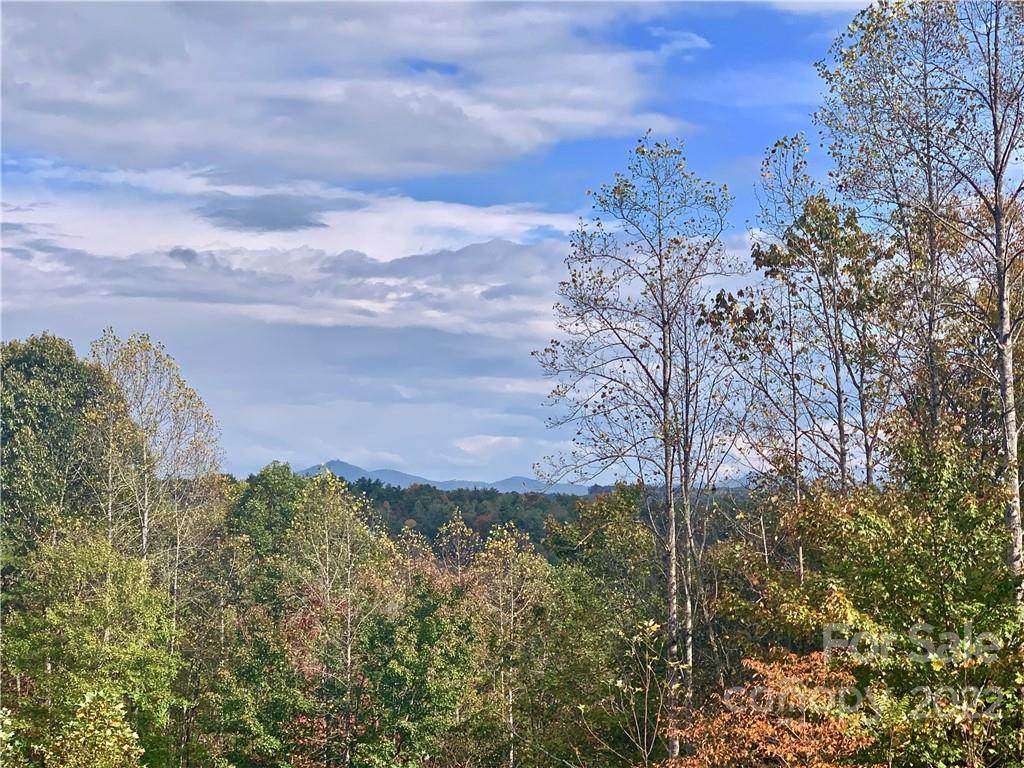 0 Round Mountain Parkway - Photo 1