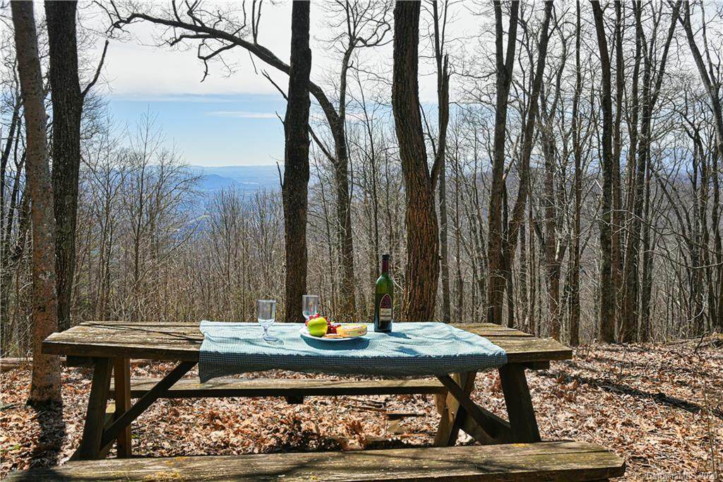 79 Hickory Forest Lane - Photo 1