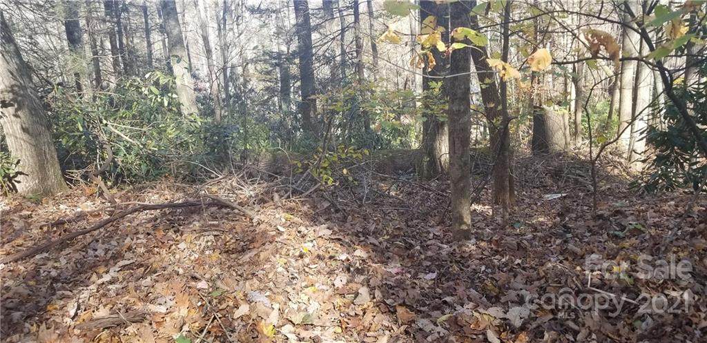 Lot C31 Shady Lane - Photo 1