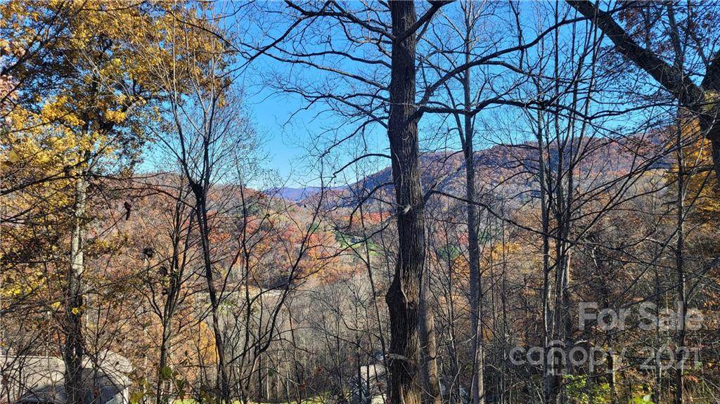 Lot 101 Tuxedo Ridge - Photo 1