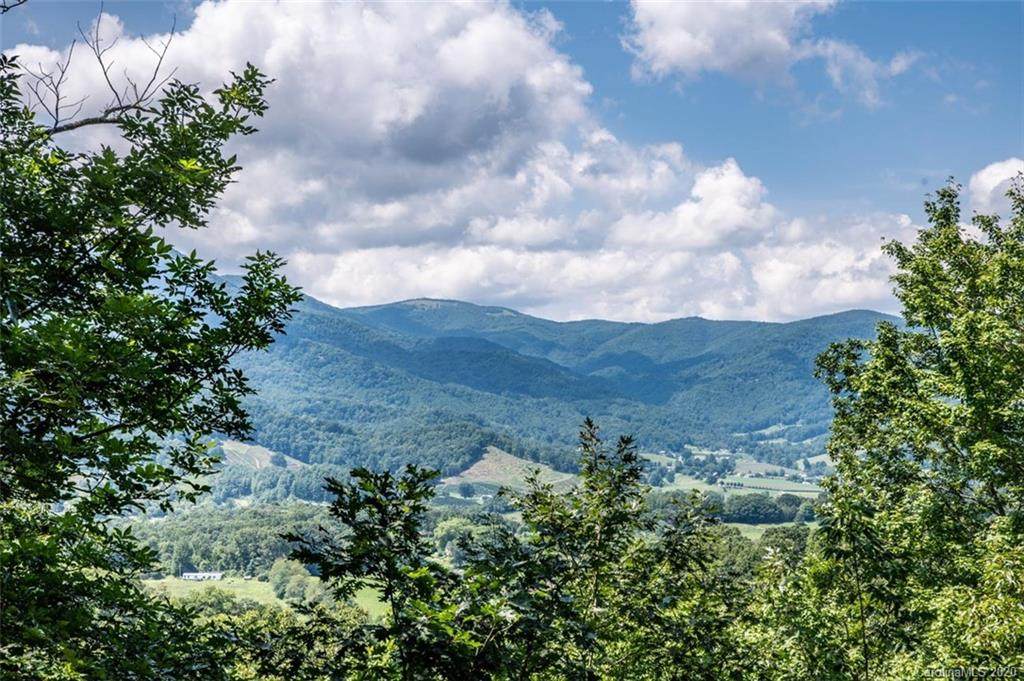 234 Fall Creek Road - Photo 1